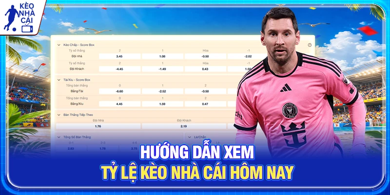 Hướng dẫn xem tỷ lệ kèo nhà cái hôm nay 
